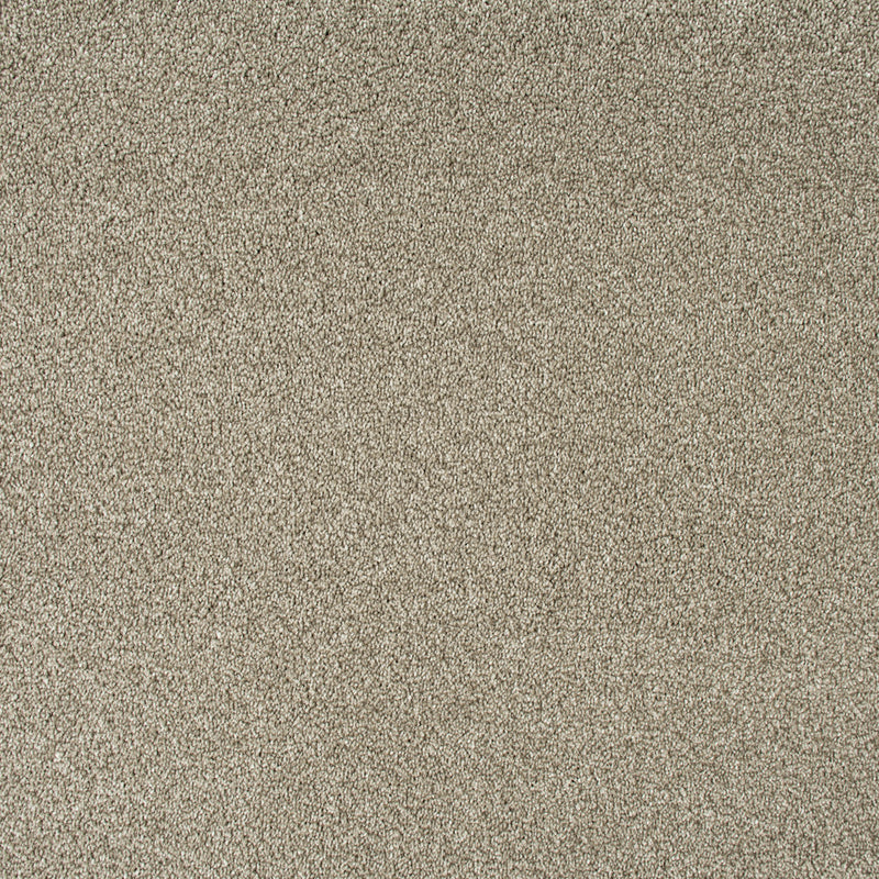 Alpine Stone Sensation Heathers 60oz Carpet