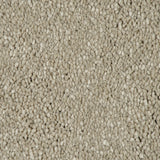 Ammonite Sensation Original 60oz Carpet