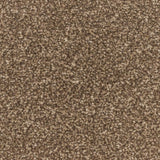 Cork Oak Apollo Plus Carpet