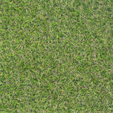 Durian 17mm Artificial Grass