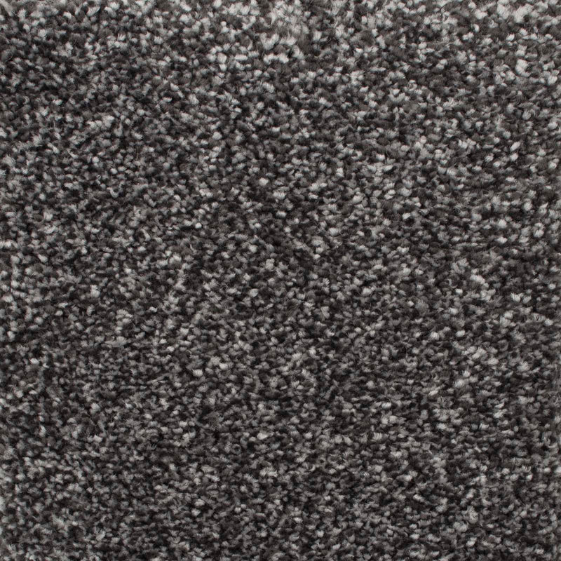 Dark Grey Luxury Saxony Carpet - Close