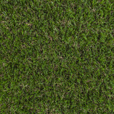 Anise 32mm Artificial Grass