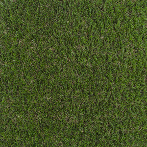 Anise 32mm Artificial Grass