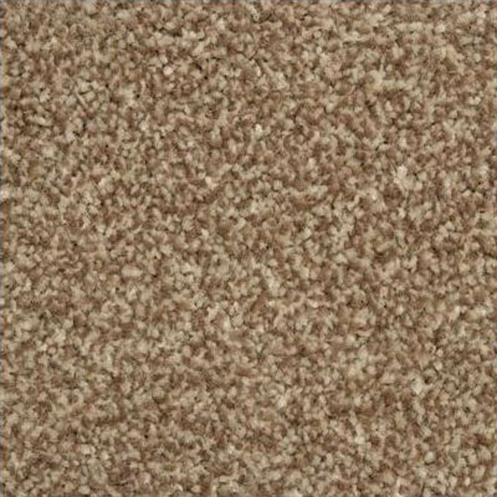 Beaver Primo Ultra Carpet More For Your Floor UK