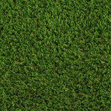 Bergamont 32mm Artificial Grass - Close