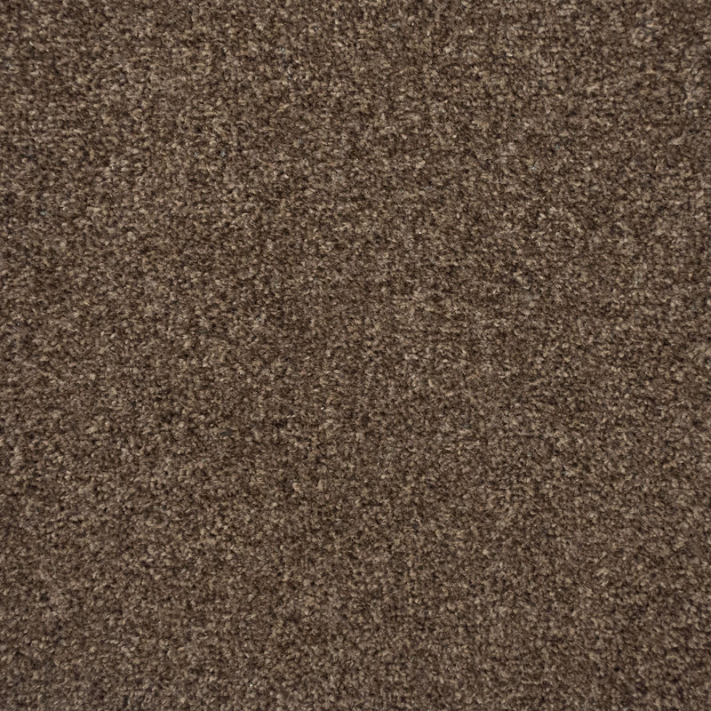 Earth Brown Liberty Heathers Twist Carpet - Far