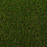 Fennel Artificial Grass - Close