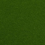 Light Green Outdoor Carpet - Close