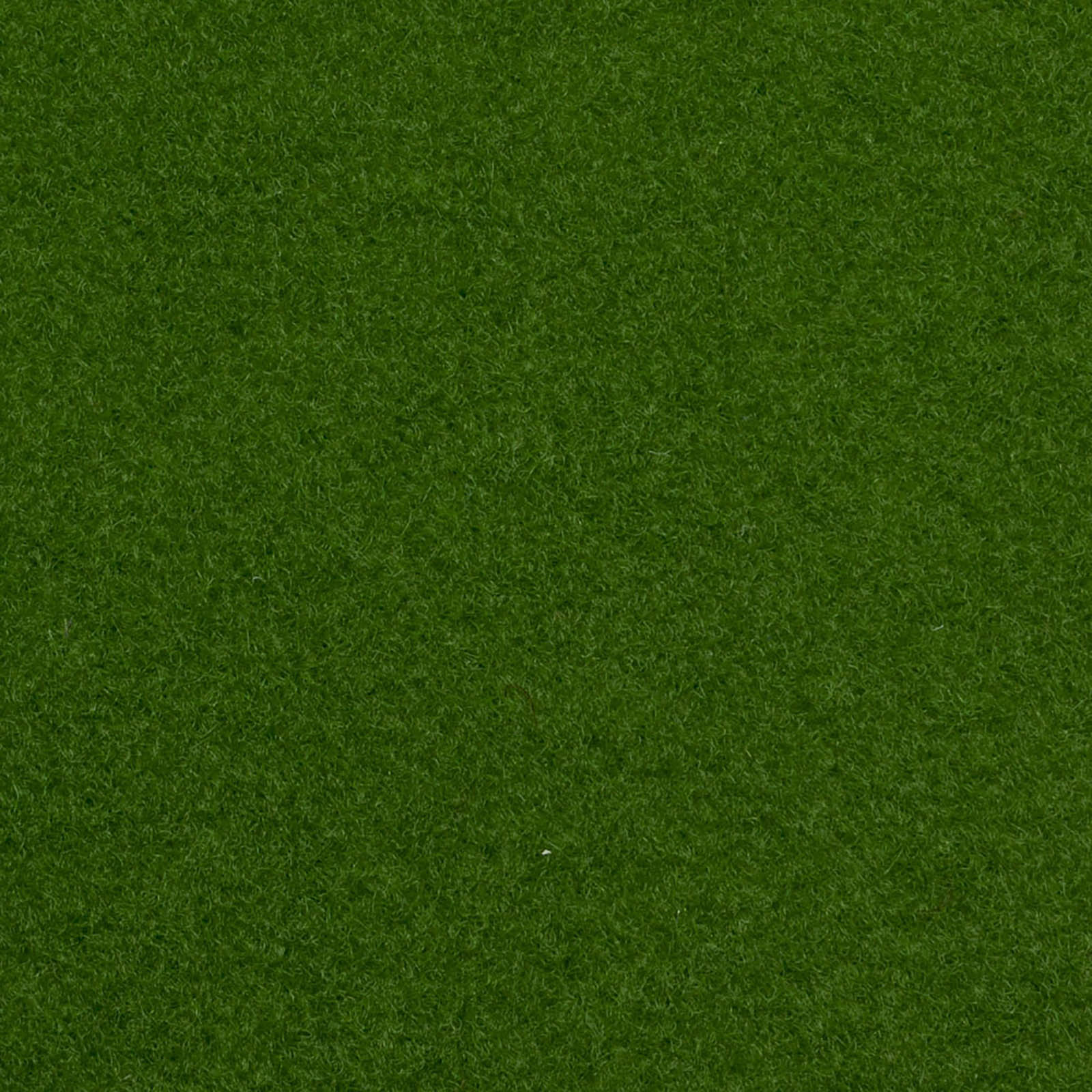 Light Green Outdoor Carpet - Far