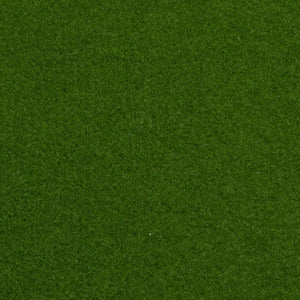 Light Green Outdoor Carpet - Far