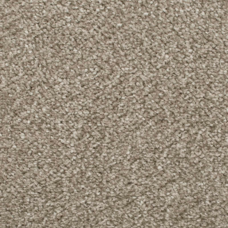Mink Admiral Saxony Carpet - Close