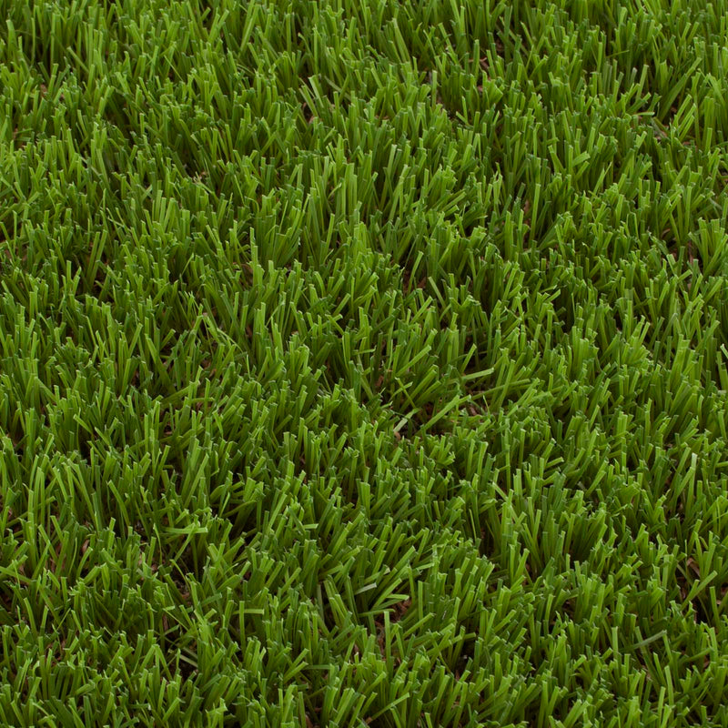Nutmeg Artificial Grass - Close Detail