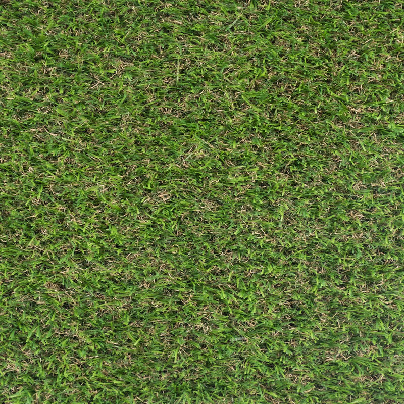 Pitaya 25mm Artificial Grass