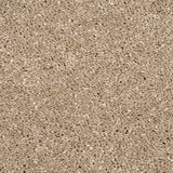 Sandy Beach 32 Sirius 70oz Invictus Carpet