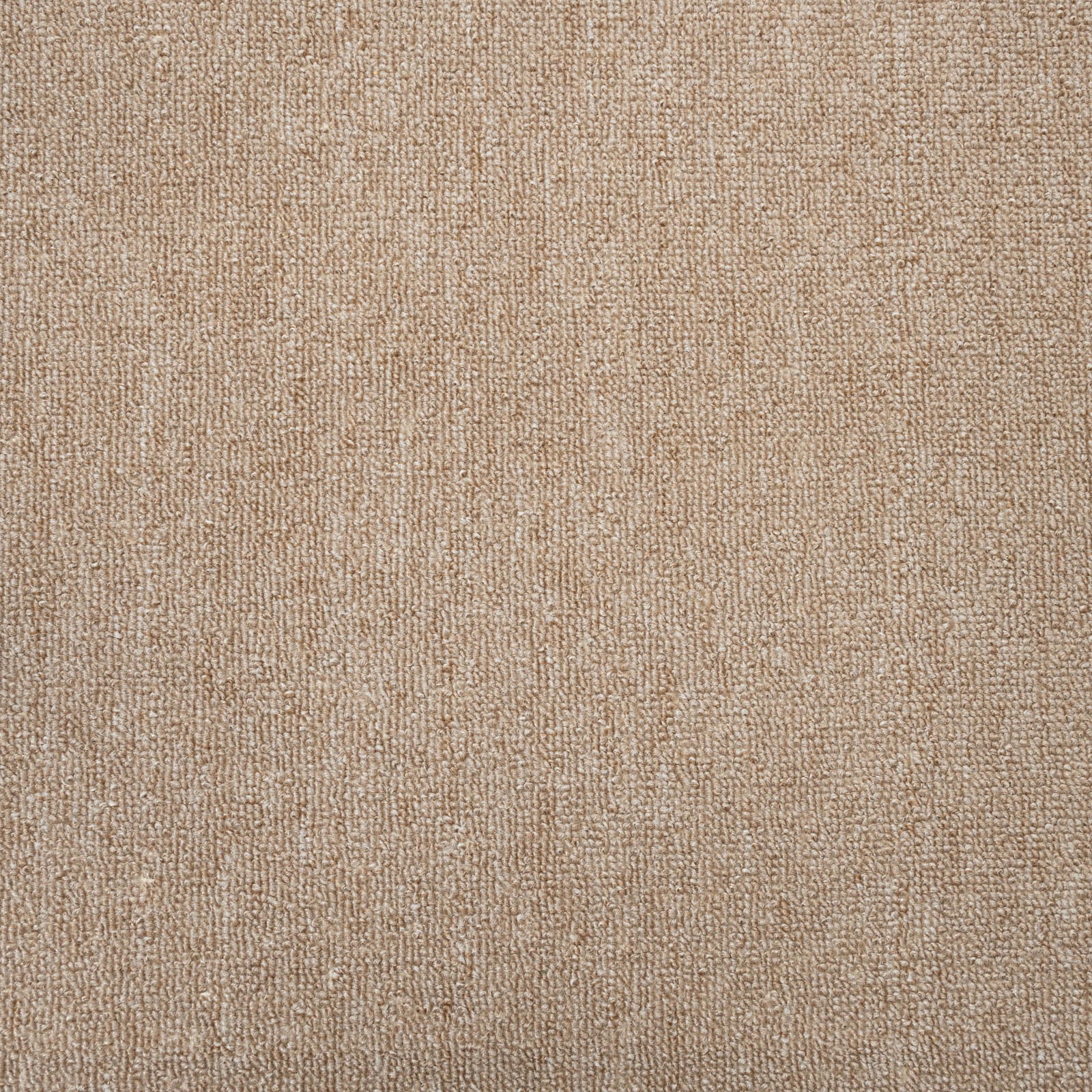 Suede Dundee Loop Carpet