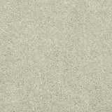 Almond Mousse Sensation Heathers 60oz Carpet