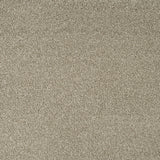 Alpine Stone Sensation Heathers 60oz Carpet