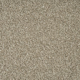 Alpine Stone Sensation Heathers 60oz Carpet