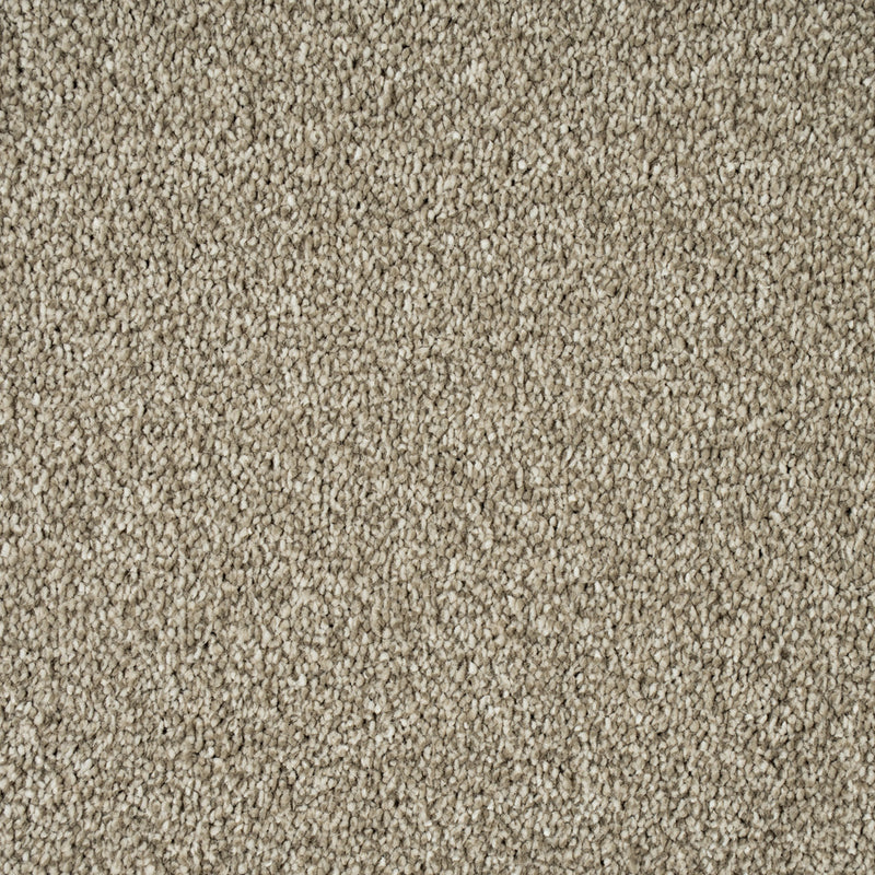 Alpine Stone Sensation Heathers 60oz Carpet