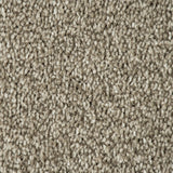 Alpine Stone Sensation Heathers 60oz Carpet