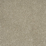 Ammonite Sensation Original 60oz Carpet