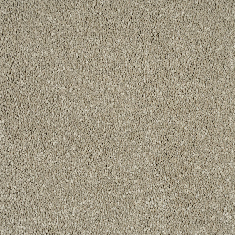 Ammonite Sensation Original 60oz Carpet