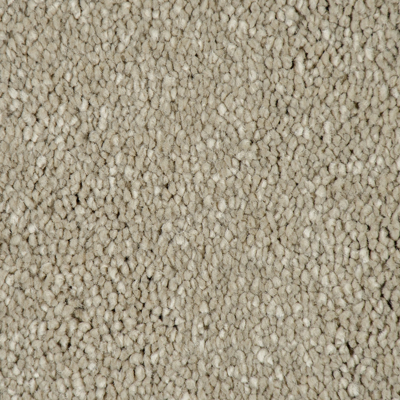 Ammonite Sensation Original 60oz Carpet