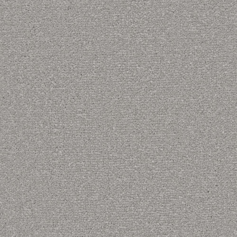 Aluminium Apollo Plus Carpet