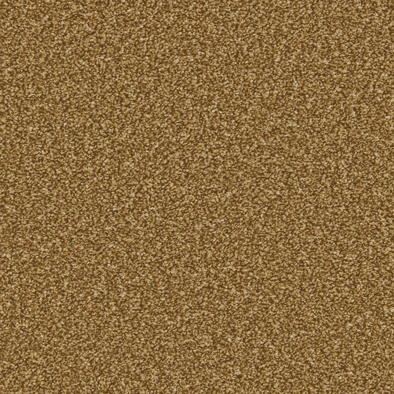 Bumblebee Apollo Plus Carpet