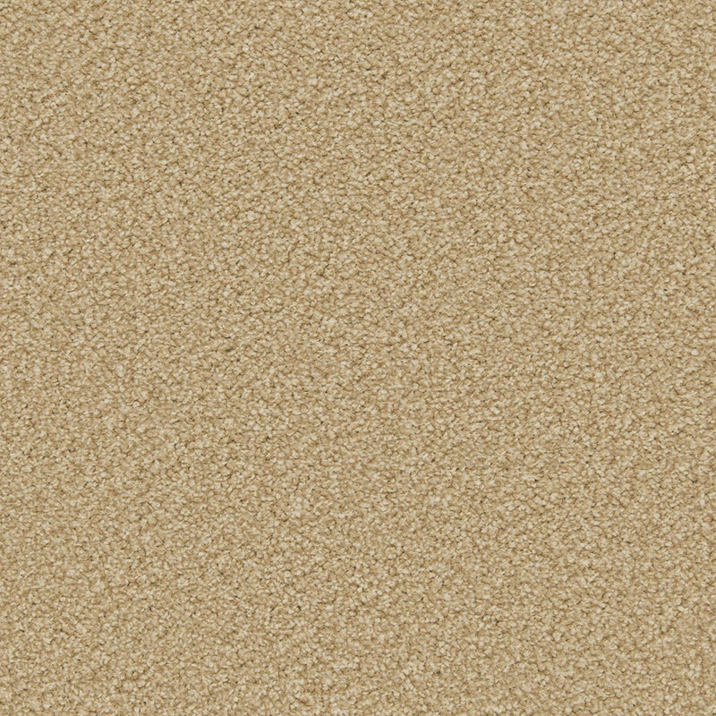 Caramel Apollo Plus Carpet