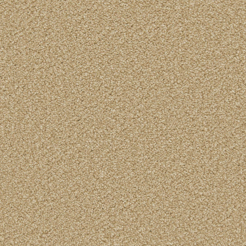 Caramel Apollo Plus Carpet