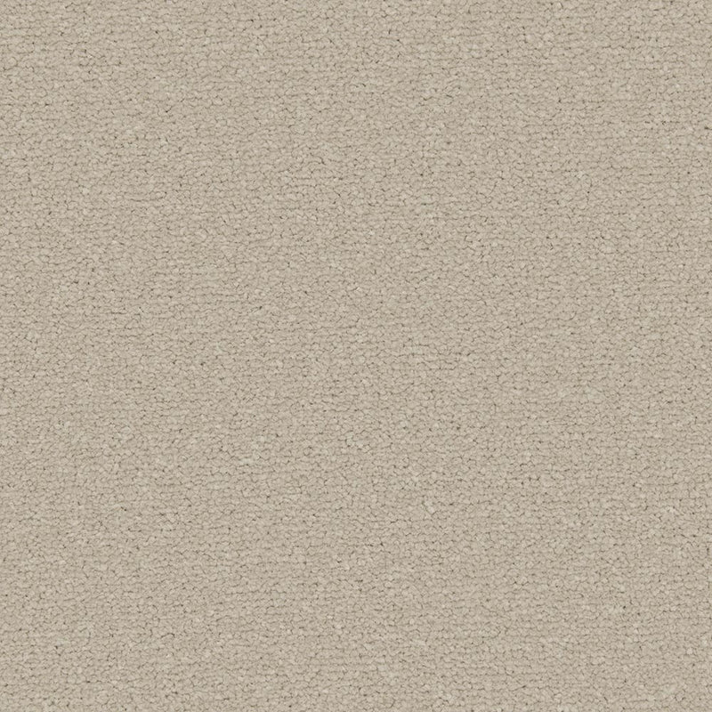 Pebblestone Apollo Plus Carpet