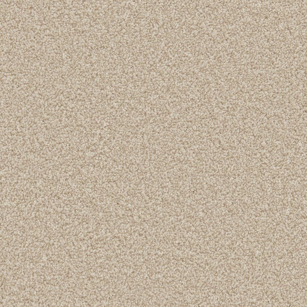 Shortbead Apollo Plus Carpet