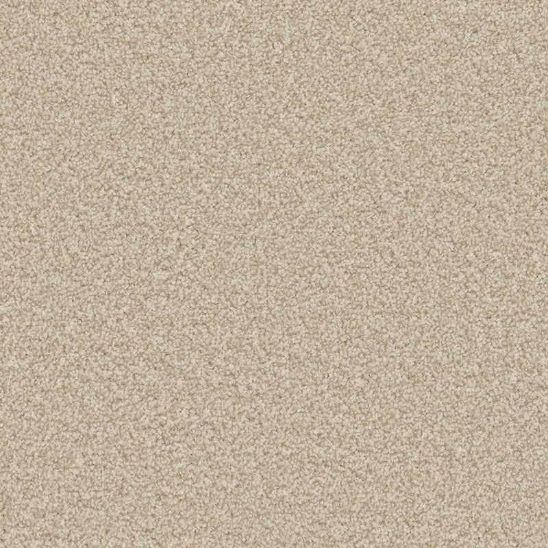Shortbead Apollo Plus Carpet