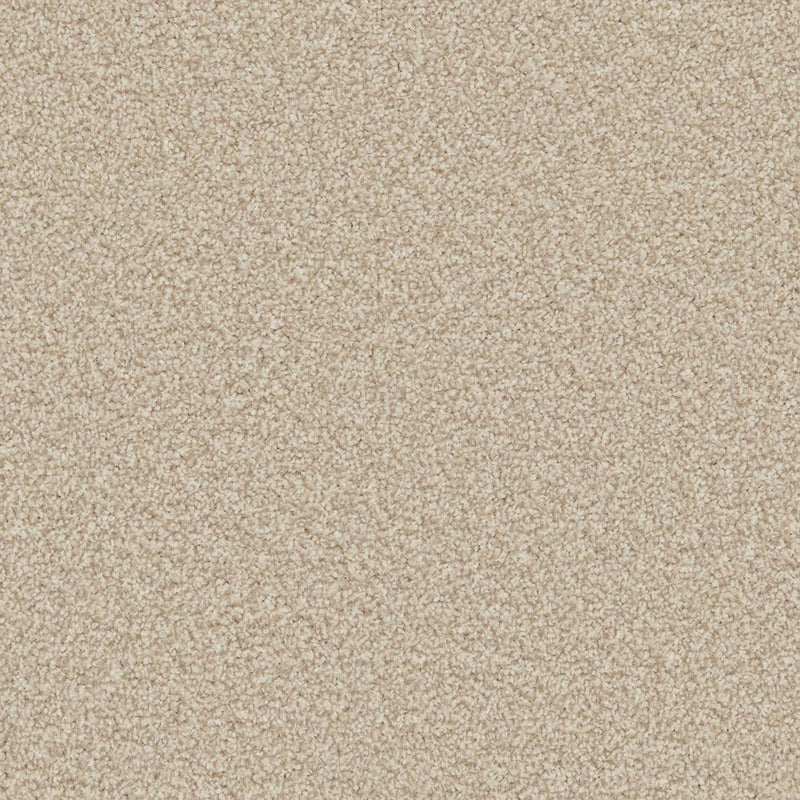 Shortbead Apollo Plus Carpet