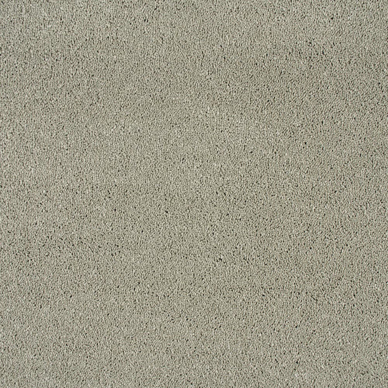 Atlantic Seal Sensation Original 60oz Carpet
