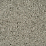 Atlantic Seal Sensation Original 60oz Carpet