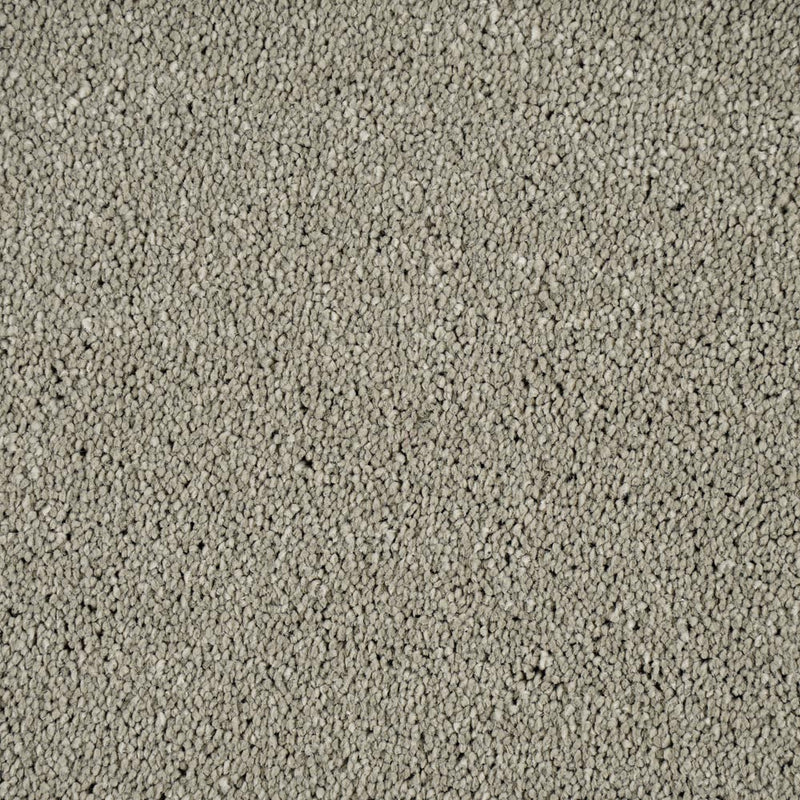 Atlantic Seal Sensation Original 60oz Carpet