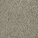 Atlantic Seal Sensation Original 60oz Carpet