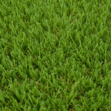 Begonia 30mm Artificial Grass