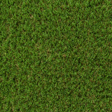 Begonia 30mm Artificial Grass