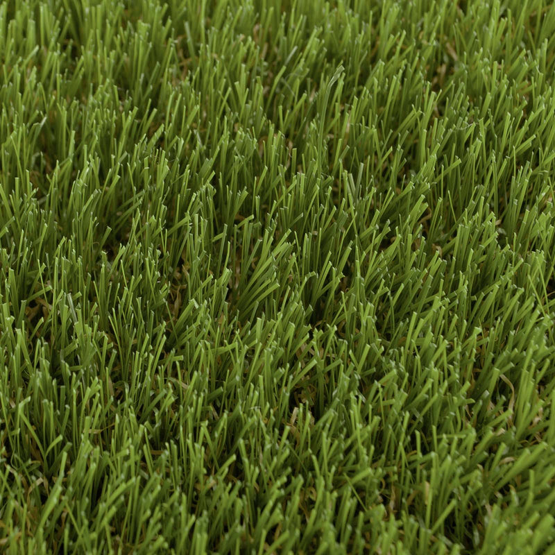 Bellflower 37mm Artificial Grass