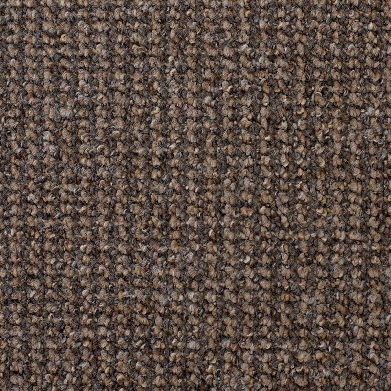 Brown Ronda Loop Carpet