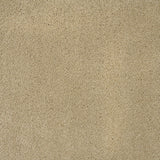 Cambrian Stone Sensation Original 60oz Carpet