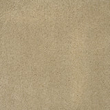Cambrian Stone Sensation Original 60oz Carpet