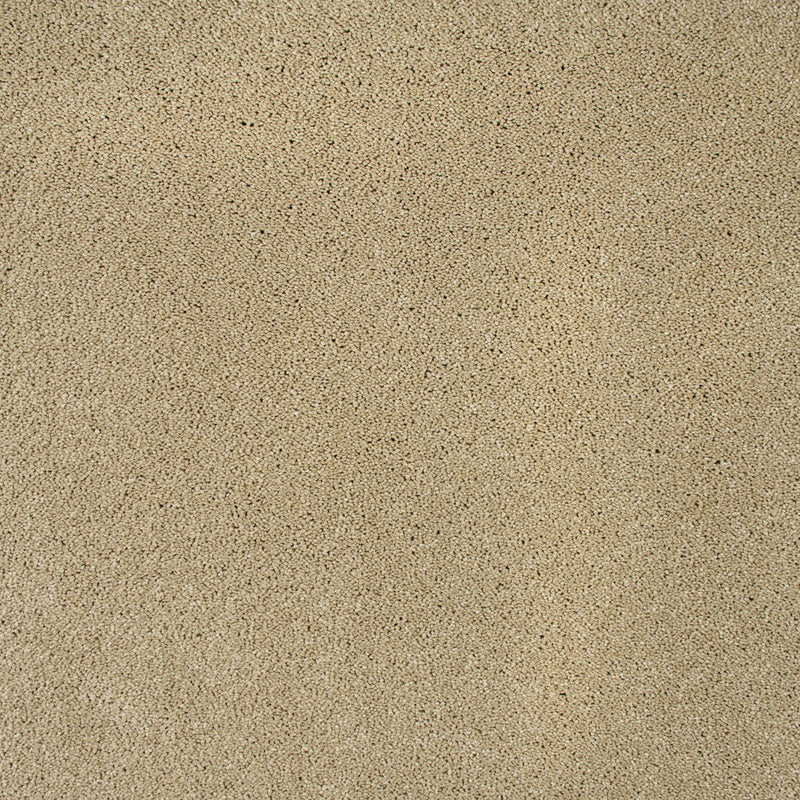 Cambrian Stone Sensation Original 60oz Carpet