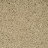 Cambrian Stone Sensation Original 60oz Carpet