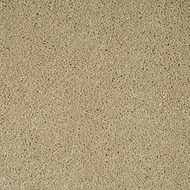 Cambrian Stone Sensation Original 60oz Carpet