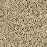 Cambrian Stone Sensation Original 60oz Carpet