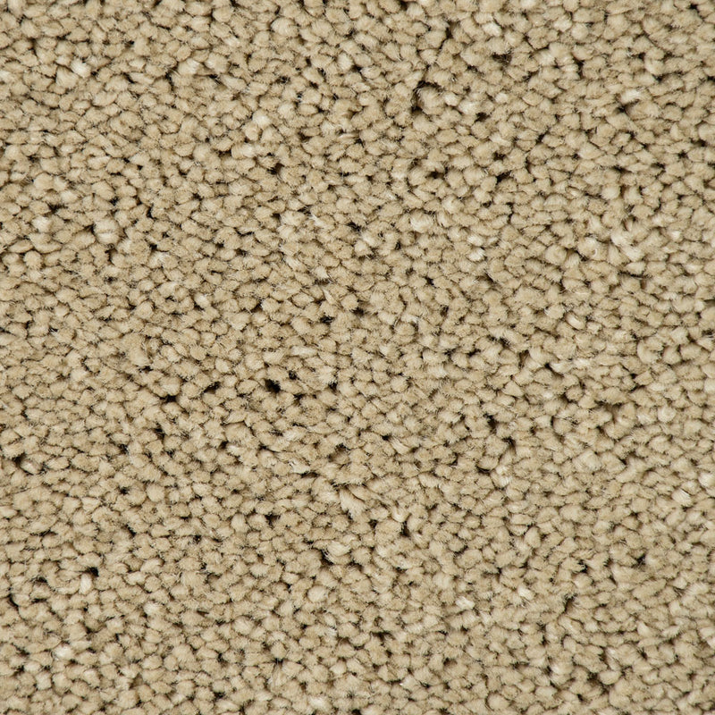 Cambrian Stone Sensation Original 60oz Carpet